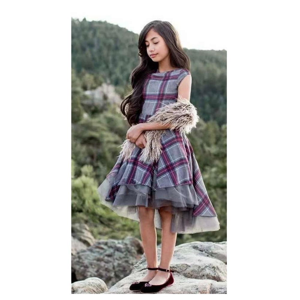 Joyfolie Prairie Farmhouse Western Photo Shoot Breanna Hi Lo Tulle Plaid Dress 8
